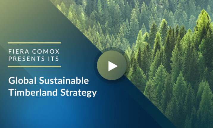 Headline image for- Fiera Comox presents its Global Sustainable Timberland Strategy