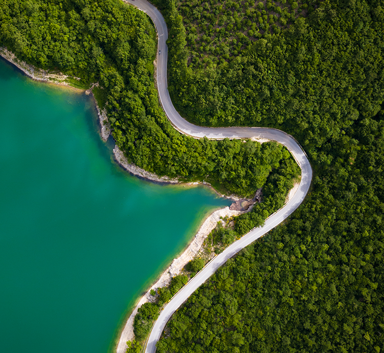 Image of forestry and water