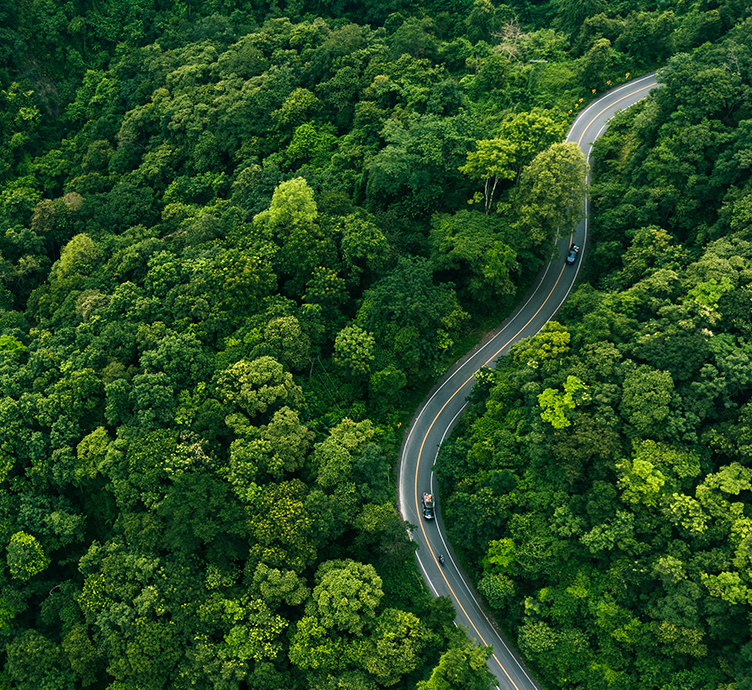 Aerial view of forest and a winding road